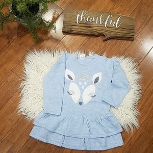 NWT Gymboree Girls Sweater Dress (B45)